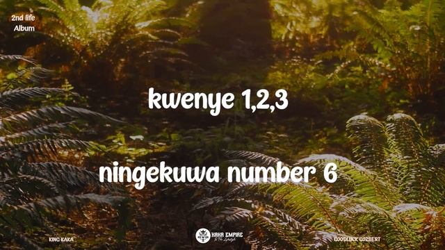 KING KAKA - UMENIBARIKI FT. GOODLUCK GOZBERT (Official Lyrics Video) SMS 'SKIZA 5969655' TO 811. смотреть онлайн