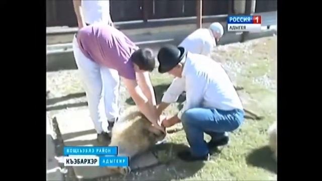 Курбан Байрам, Аул Егерухай 2016г. смотреть онлайн