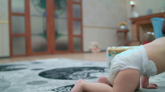 Predo Commercial Azerbaycan