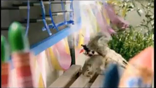 Strongbow - Birthday смотреть онлайн