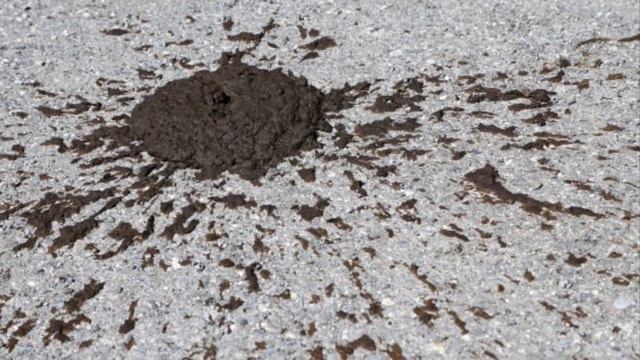 सपने में गोबर देखना | सपने में गोबर देखने का मतलब | seeing cowdung in dream | смотреть онлайн