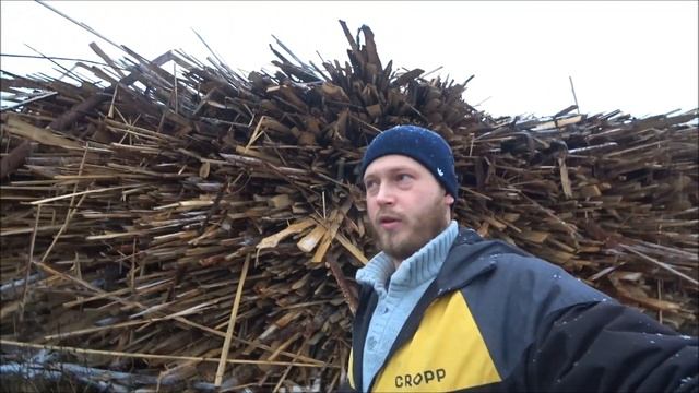 🌴💥Бесплатный❕ Лес🌴 на строительство🏠 от государства. Итоги истории спустя 2 года.😄