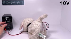 HIGH VOLTAGE Toys #16 | Money Gun