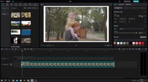Freeze Frame Effect or Snapshot Effect | CapCut PC Tutorial