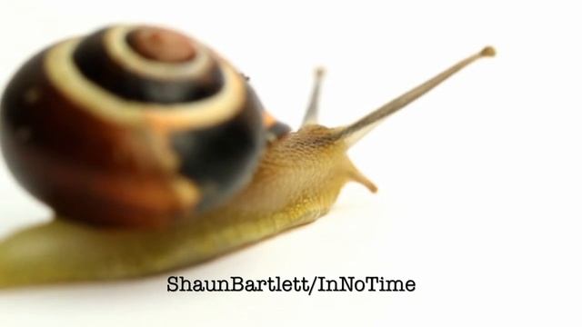 Shaun Bartlett - In No Time (promo) смотреть онлайн