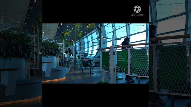 #ambience #airport #soothing #relaxation #dubai airport #ourden смотреть онлайн