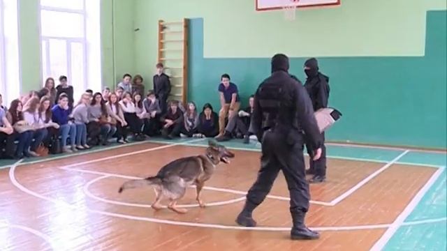 Новая программа