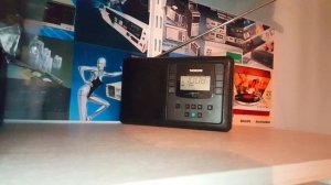 Radio digital Thomson RT550 all bands world radio receiver  (Germany)