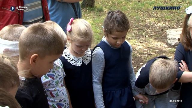 Зарничка в Лесном