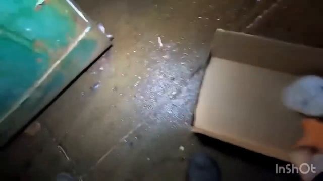 Dumpster Diving Aldi #357 Free Grocery Shopping! смотреть онлайн