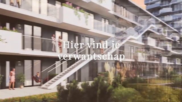 Imagine Rotterdam | Wonen in Rotterdam Zuid | смотреть онлайн