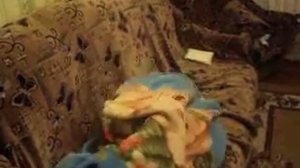 Ребенок не хочет идти  в школу