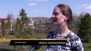 Как правильно благоустроить дачный участок?