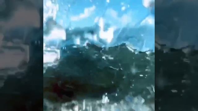 Водонепроницаемый чехол для телефона от Sportovar.uz смотреть онлайн