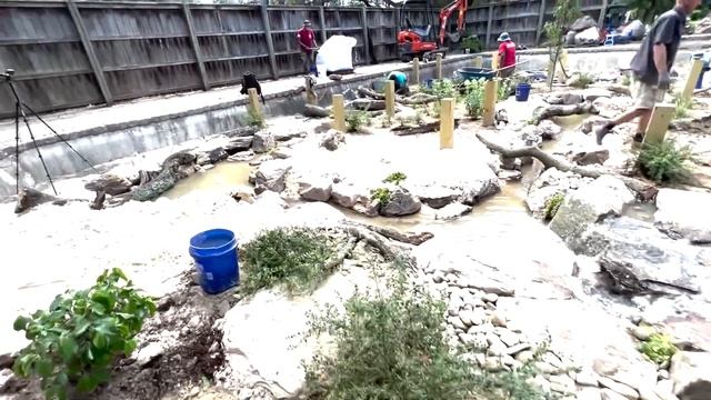 Virginia Zoo Part 5: Crab Apple Trees and Turtles смотреть онлайн