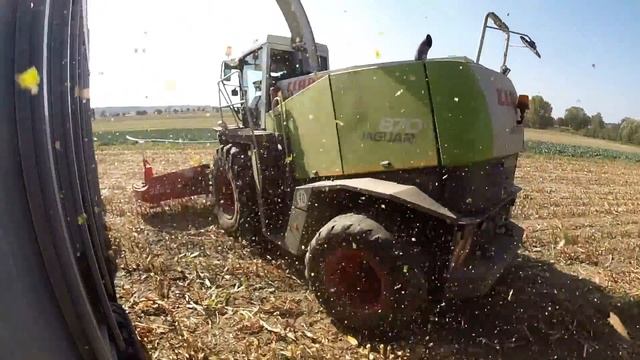 Maishäckseln 2016 Mit CLaas Jaguar 870