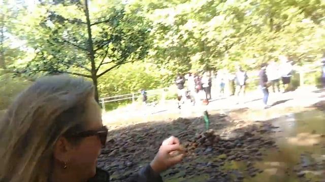 Петродворец, фонтан "Шутиха" смотреть онлайн