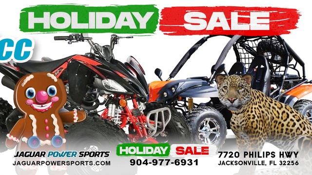 HOLIDAY SALE AT JAGUAR POWER SPORTS! SAVE BAG LOADS OF MONEY NOW! смотреть онлайн