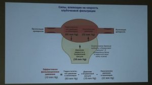 6. Функции почек. Физиология человека и животных - Тарасова О. С. Teach-in.