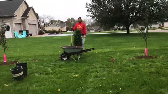 Planting Sugar Tyme Crabapple trees and Tiny Tower Arbs :) смотреть онлайн