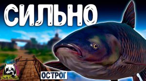 РУССКАЯ РЫБАЛКА 4. ОЧЕНЬ СИЛЬНЫЕ РЫБКИ МОГУТ МУЧАТЬ РР4