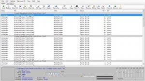 MP3 Tag Express - Track Numbering