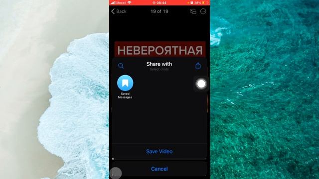 How to Save Telegram Video in iPhone/iOS смотреть онлайн