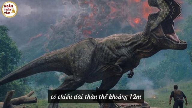 5 Bằng Chứng Rúng Động Cho Thấy, Người Khổng Lồ Đã Từng Có Trên Trái Đất | Vạn Điều Bí Ẩn смотреть онлайн