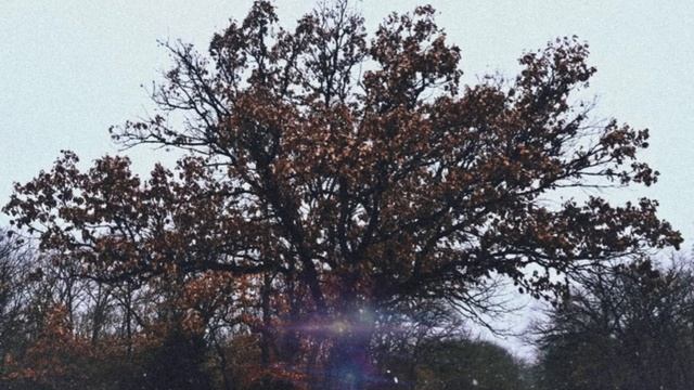 ZMC - The Reaper Is Tryna Repo My Soul смотреть онлайн