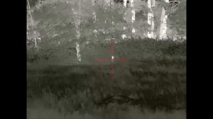 100 хищников уничтожено. Пока вы спите, МЫ,  «НОЧНОЙ ДОЗОР» регулируем численность хищника. Фильм 2.