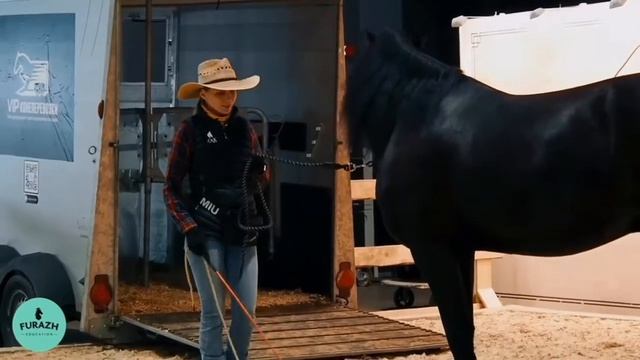 Алика Гельфанд:: Погрузка в коневоз. Подготовка смотреть онлайн