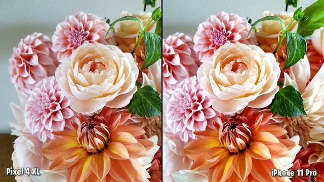 Google pixel 4 XL VS iPhone 11 Pro Camera test Comparison смотреть онлайн
