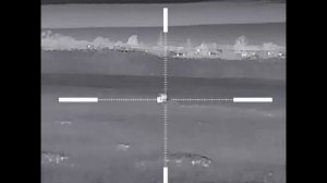 Охота на шакала ночью. Шакала тянуло магнитом к манку.