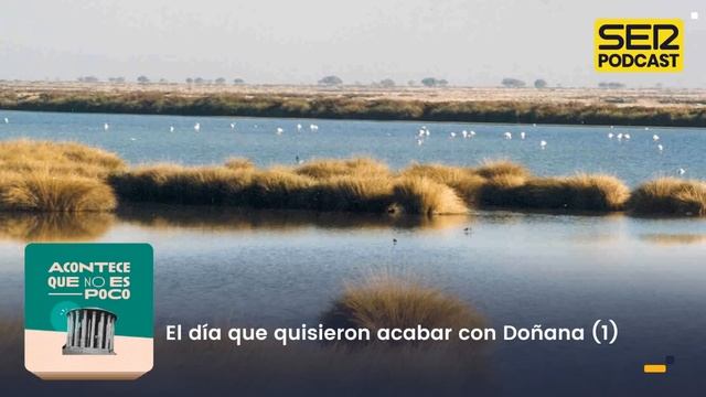 Acontece que no es poco | El día que quisieron acabar con Doñana (1) смотреть онлайн