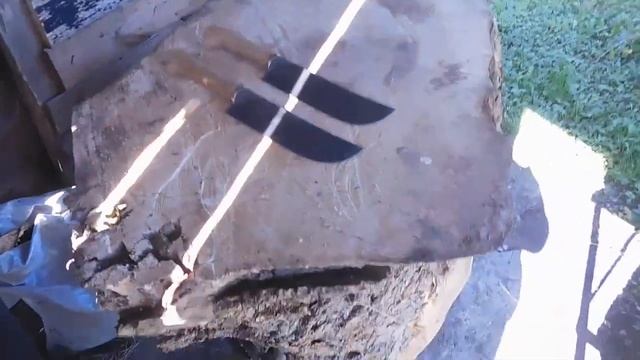 Крайние новости и два пчака на продажу. смотреть онлайн