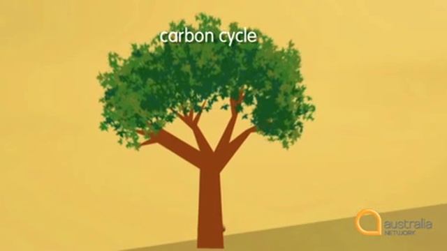 Good Study 01 English 12 - Carbon Cycle