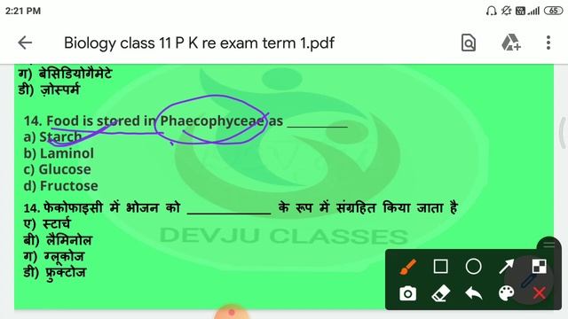 VVI QUESTIONS BIOLOGY PLANT KINGDOM CH 03 JAC TERM 1 RE EXAM 12.07.2022 MCQ NCERT DEVJU смотреть онлайн