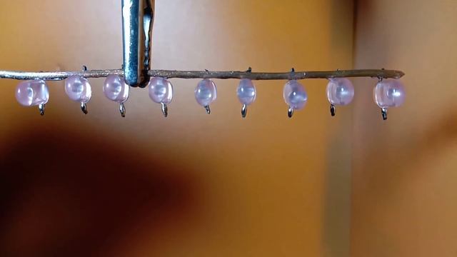 DIY LED CHASER WITH C1815 TRANSISTOR #easyproject4u #ledchaser #c1815 смотреть онлайн