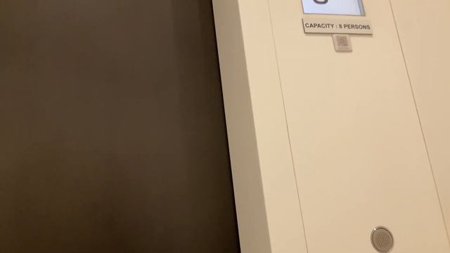 1x KONE Elevator at The Apple Store Dubai Mall in Dubai UAE смотреть онлайн