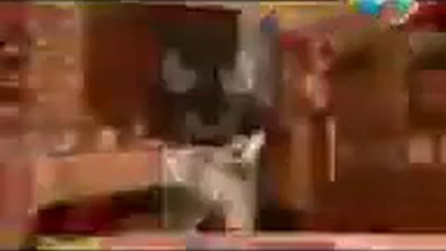 Рыжий Кот и Й Вырезанный фрагмент (18.02.2017) (Перезалив) смотреть онлайн