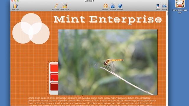 How to arrange web page object layers using HTML Egg for Mac смотреть онлайн