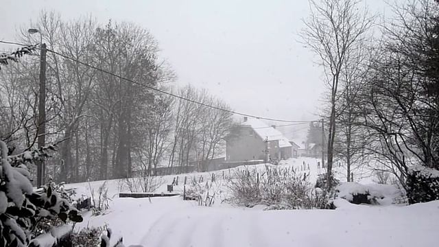 66 years after the Battle of the Bulge, once more a snow storm смотреть онлайн