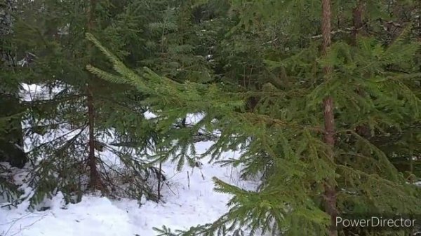 Qish fasli va go'zal tabiyat manzaralari