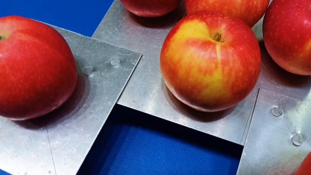Apple Sweet (Apple round , apple red) Ann Heywood смотреть онлайн