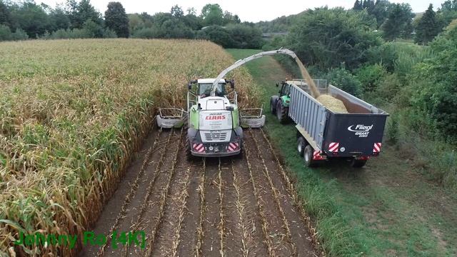 Maishäckseln 2018 Teil 2 LU Krumm mit Claas Jaguar 950, JCB, Deutz [4K] смотреть онлайн