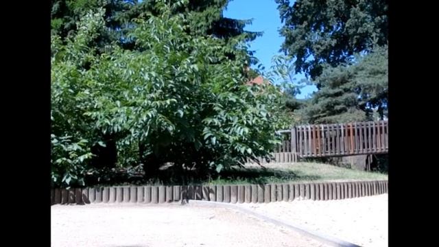 Webster in Full HD and PAL-Format (Testvideo) смотреть онлайн