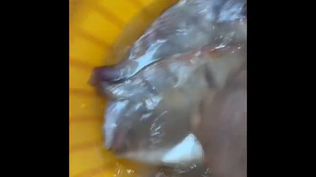 poisson na aubergine ( poisson avec l’aubergine) смотреть онлайн
