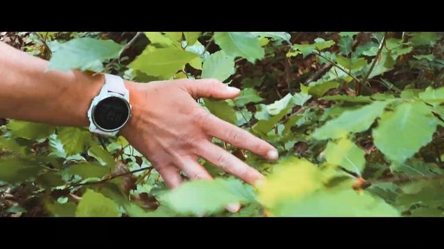 iPhone 11 Pro + DJI Osmo Mobile 3 - 4K Cinematic Footage | Into the woods 🇩🇪 смотреть онлайн