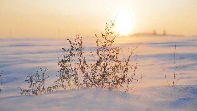 Зима на планете В 4K. смотреть онлайн