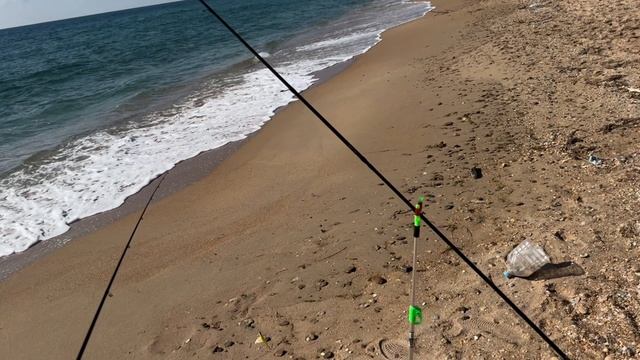 Морская Рыбалка . Луфарь зачетные смотреть онлайн